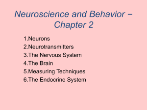 Neuroscience and Behavior