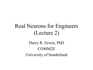 Real Neurons for Engineers