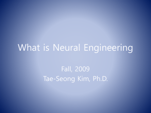 What is Neural Engineering