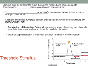 Threshold Stimulus