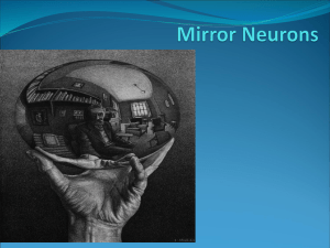 Mirror Neurons & You