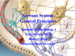 Nervous System: General Principles