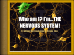 Who am I? I’m…THE NERVOUS SYSTEM!