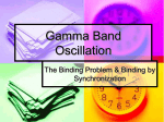 Gamma Band Oscillation