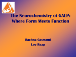 The Neurochemistry of GALP: Where Form Meets
