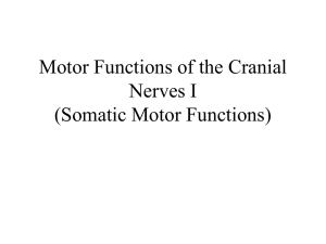 CranialN11