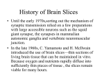 Problems of Conventional Brain Slice Preparations in Research on