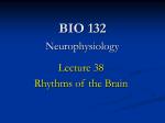 Lecture 38 (Rhythms)