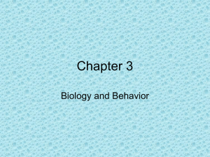 Chapter 6 Notes - Biological Psych