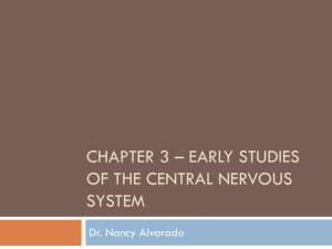 Chapter 3 – early studies of the central nervous system