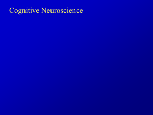 Cell Structure: From an Information Processing View