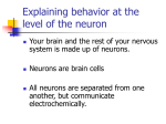 Differential Permeability of the Membrane