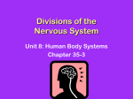 Divisions of the Nervous System