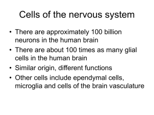 Chapter 2 slides