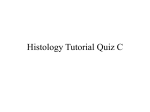 Histology Practical 1
