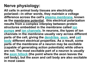 are involved in a few types of action potentials