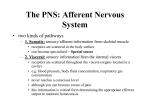 to find the lecture notes for lectures 9 the afferent division of the PNS