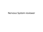 Parts of the nervous system