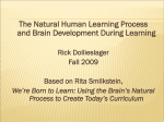 Natural Human Learning Process (NHLP)