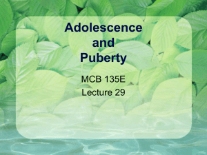 Adolescence and Puberty