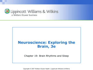 Chapter 19: Brain Rhythms and Sleep