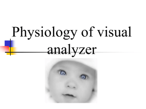 43 Physiology of visual analyzer