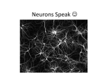 Neurons Speak - People Server at UNCW