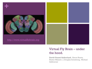 Virtual Fly Brain – under the hood.