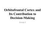 Orbitofrontal Cortex and Its Contribution to Decision