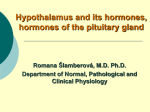 Endocrinology-general physiolofy of hormone, hormonal feed