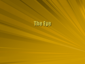 The Eye