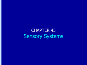 Chapter 45: Sensory Systems