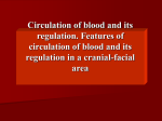Lecture 4_Circulation of blood and its regulation. Features of