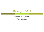 Biology 3201