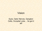 2_Vision