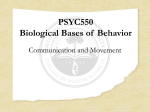 PSYC550 Communication and Movement