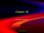 Chapter 48 Presentation