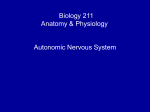 Biology 211 Anatomy & Physiology I