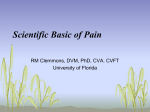 Scientific Basis of Pain