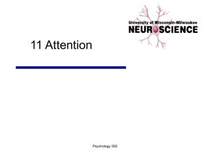 11 Attention