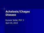 Achalasia/Chagas Disease