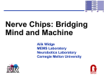 Nerve Chips