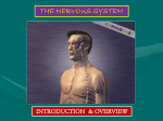 THE NERVOUS SYSTEM I