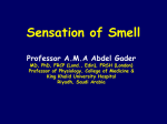 19 Sensation of Smell-14322012-09