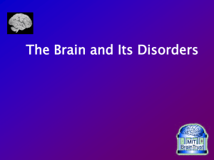 The Brain and Its Disorders