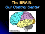 The BRAIN: Our Control Center
