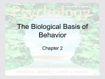 Chapter 2 - Biological Basis of Behavior