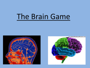 The Brain ACTIVITY lesson - Mr. Haley