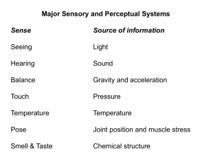 NS_intro_sensory