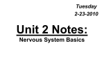 Unit 2: Nervous System